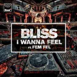 I Wanna Feel