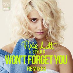 Won't Forget You