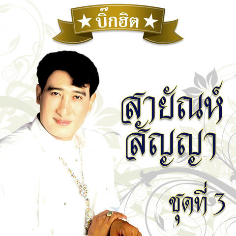 บิ๊กฮิต - สายัณห์ สัญญา 3