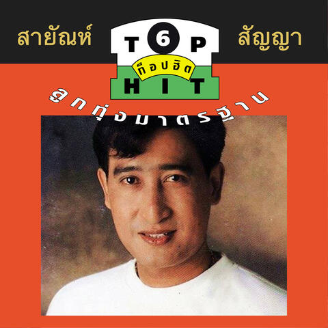 สายัณห์ สัญญา ท็อปฮิตลูกทุ่งมาตรฐาน ชุด 6