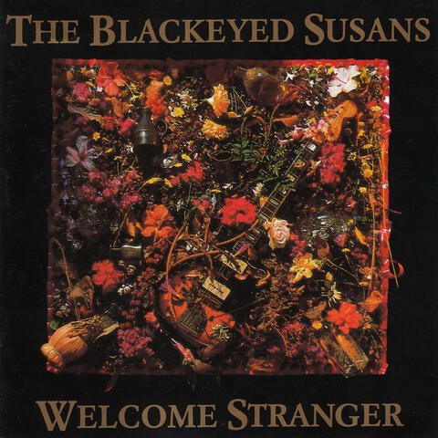 Welcome Stranger