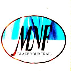 Blaze Your Trail, Shine Your Light