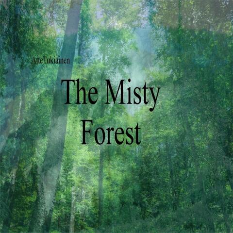 The Misty Forest
