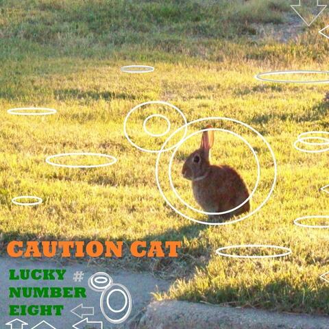 Lucky Number Eight