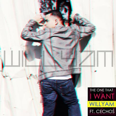 The One That I Want  (feat. Cechoś)