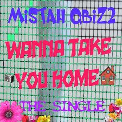 Wanna Take You Home