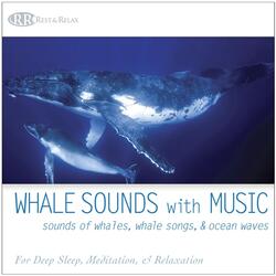 Whale Sounds With Music