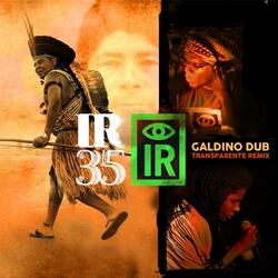 I R 35 Galdino Dub (Transparente Remix) [feat. Tapedave & Jah9]