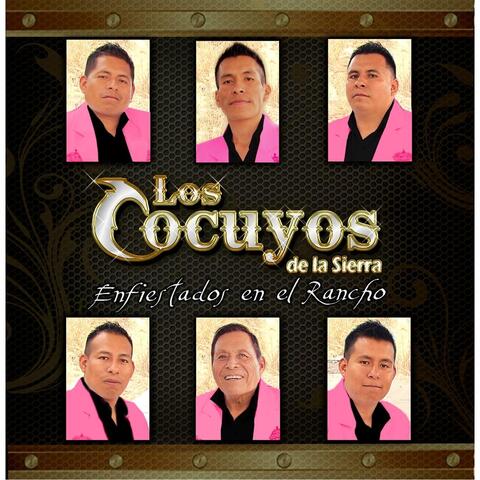 Enfiestados en el Rancho