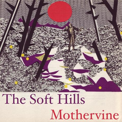 Mothervine