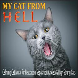 Ambient Catnip (Music for My Cat from Hell)