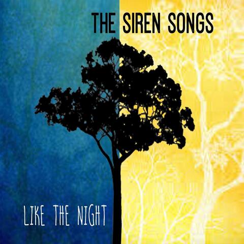 Like the Night