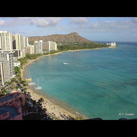 I Want to Take You to Hawaii
