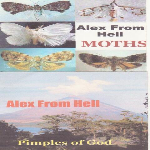 Moths / Pimples of God