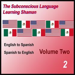 English to Spanish, Vol. 2: Questions
