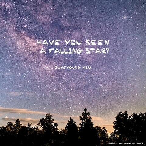 Have You Seen a Falling Star?