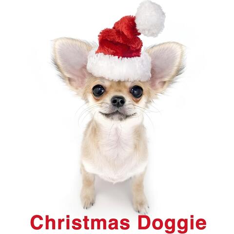 Christmas Doggie