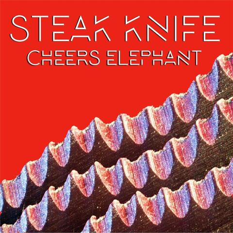 Steak Knife