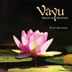 Mahamrtyunjaya Mantra (Om Triyambakam) [feat. Stephen La Porta]