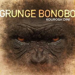 Grunge Bonobo