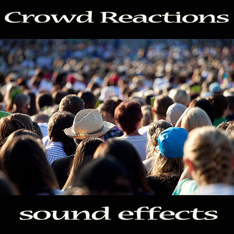 Crowd Reactions: Sound Effects
