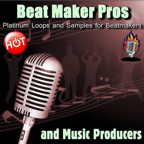 Platinum Loops and Samples for Beatmakers and Music Producers