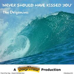 Never Should Have Kissed You