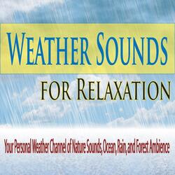 Ocean Waves (Weather Channel Sounds)