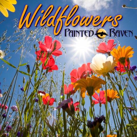 Wildflowers