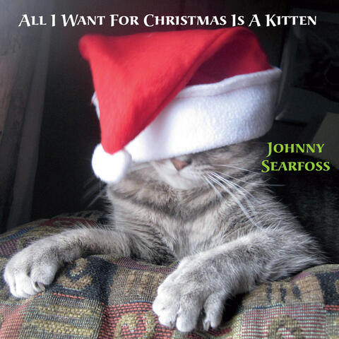 All I Want for Christmas Is a Kitten