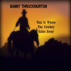 Cowboy Rides Away (feat. Wille Nelson)