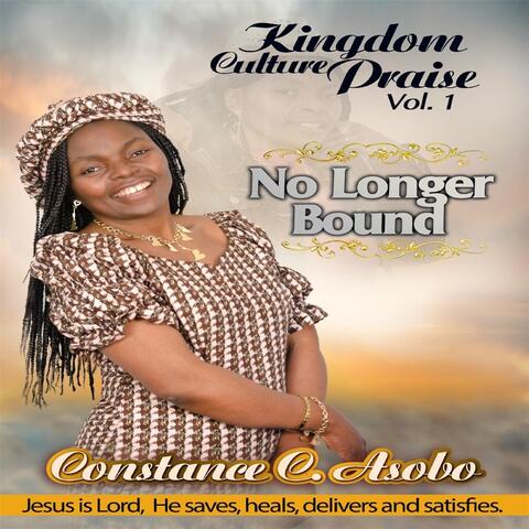 Kingdom Culture Praise, Vol. 1: No Longer Bound
