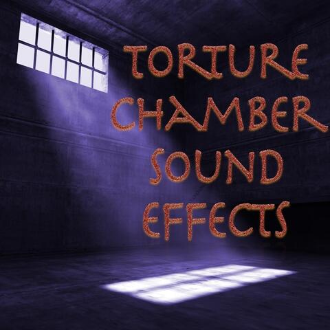 Torture Chamber Sound Effects