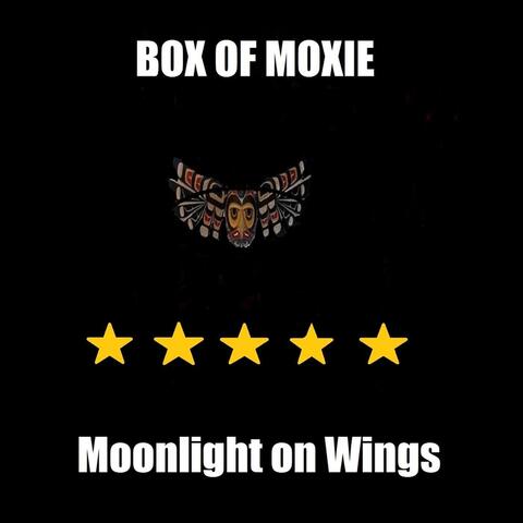 Moonlight On Wings