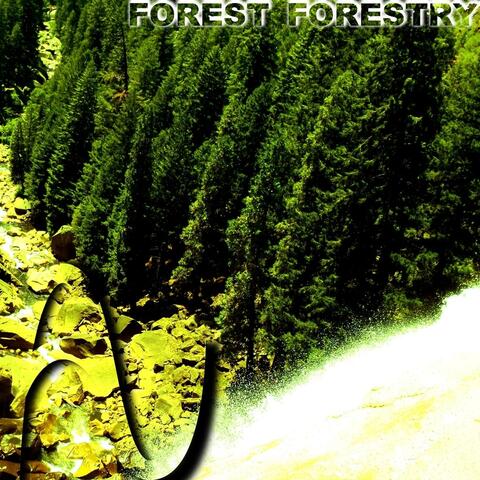 Forest Forestry