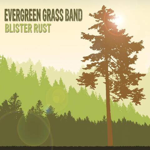 Blister Rust