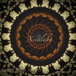 Xx836 Flow Matrix