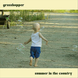 Summer in the Country