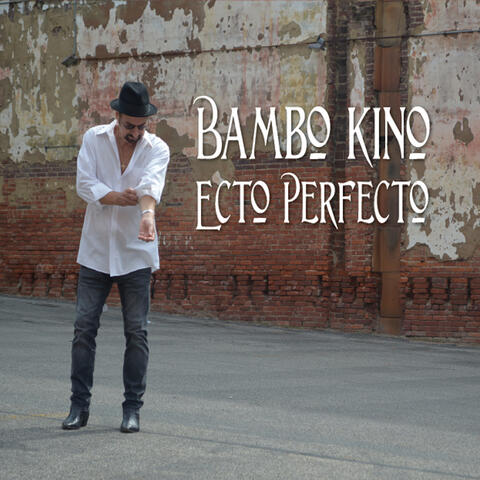 Ecto Perfecto
