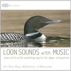 Ocean Loons