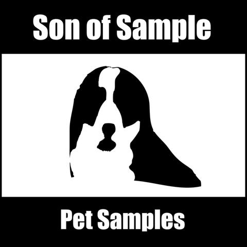 Pet Samples