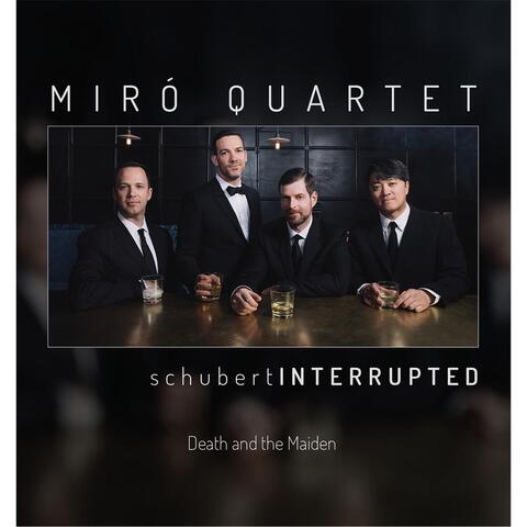 Schubert Interrupted