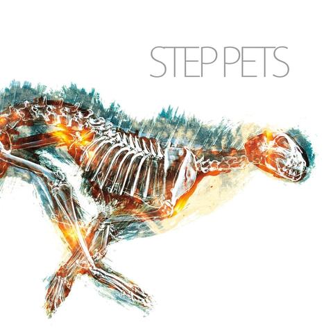 Step Pets