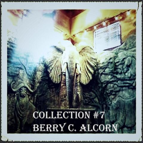 Collection #7