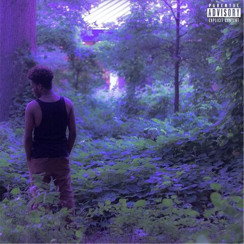 Gold Gardens