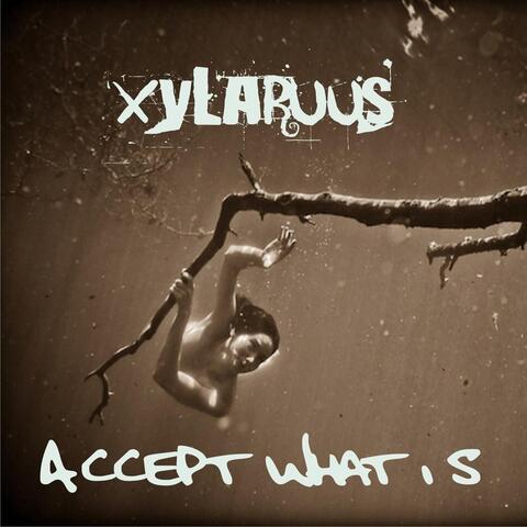 Accept What Is