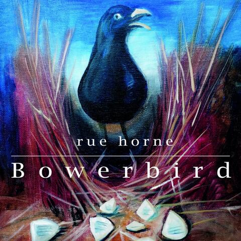 Bowerbird