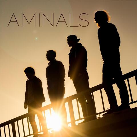 Aminals