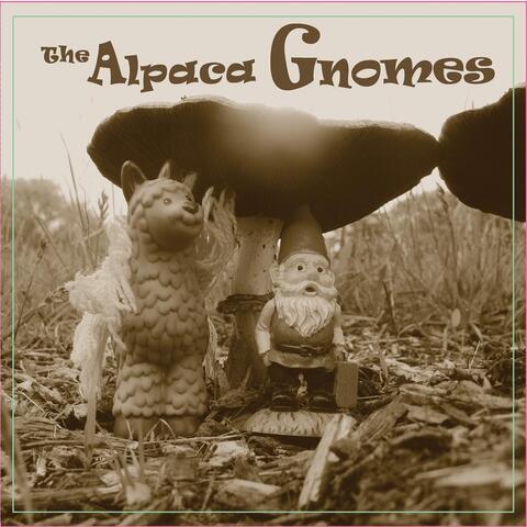 The Alpaca Gnomes
