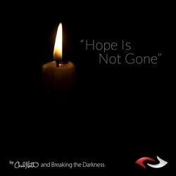 Hope Is Not Gone (feat. Breaking the Darkness)